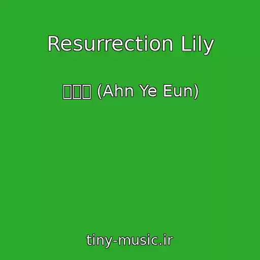 کاور آهنگ Resurrection Lily از 안예은 (Ahn Ye Eun)
