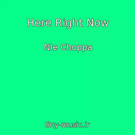 کاور آهنگ Here Right Now از Nle Choppa