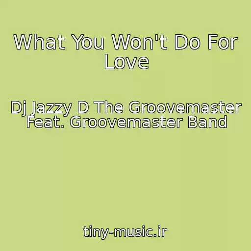 کاور آهنگ What You Won't Do For Love از Dj Jazzy D The Groovemaster Feat. Groovemaster Band