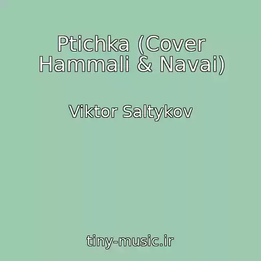 کاور آهنگ Ptichka (Cover Hammali & Navai) از Viktor Saltykov