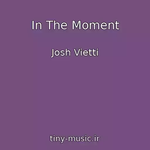 کاور آهنگ In The Moment از Josh Vietti