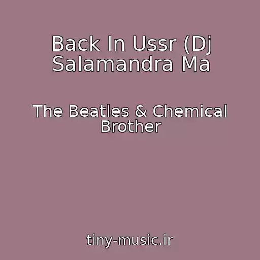 کاور آهنگ Back In Ussr (Dj Salamandra Ma از The Beatles & Chemical Brother