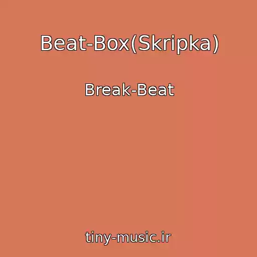 کاور آهنگ Beat-Box(Skripka) از Break-Beat