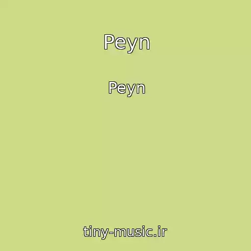 کاور آهنگ Peyn از Peyn