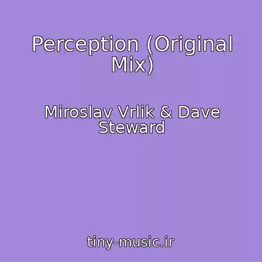 کاور آهنگ Perception (Original Mix) از Miroslav Vrlik & Dave Steward