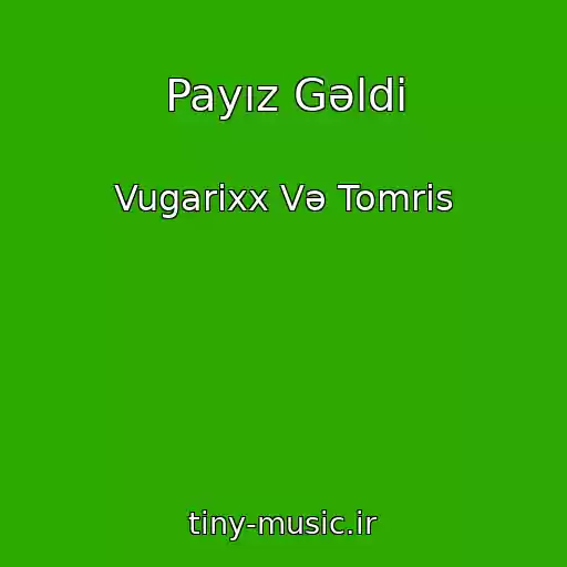کاور آهنگ Payız Gəldi از Vugarixx Və Tomris