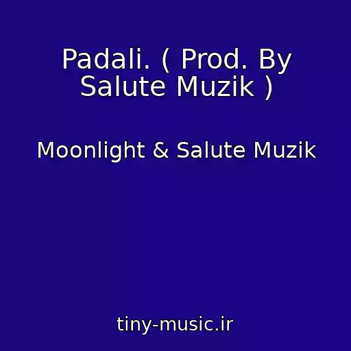 کاور آهنگ Padali. ( Prod. By Salute Muzik ) از Moonlight & Salute Muzik