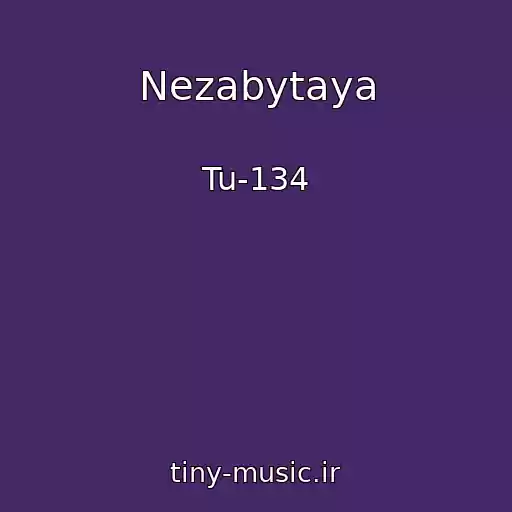 کاور آهنگ Nezabytaya از Tu-134