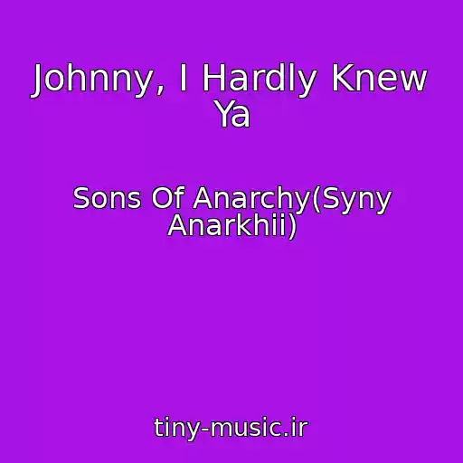 کاور آهنگ Johnny, I Hardly Knew Ya از Sons Of Anarchy(Syny Anarkhii)