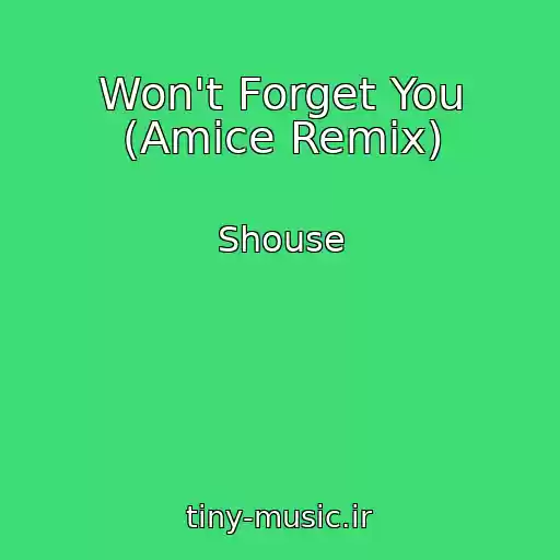 کاور آهنگ Won't Forget You (Amice Remix) از Shouse