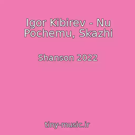 کاور آهنگ Igor Kibirev - Nu Pochemu, Skazhi از Shanson 2022