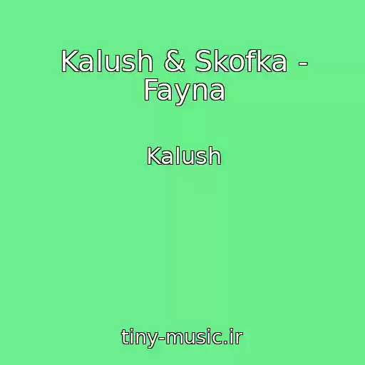 کاور آهنگ Kalush & Skofka - Fayna از Kalush