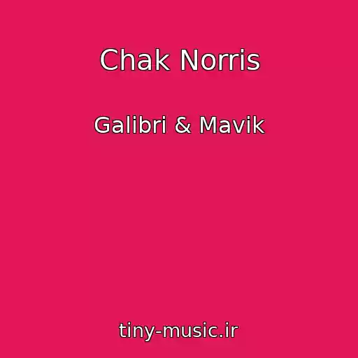 کاور آهنگ Chak Norris از Galibri & Mavik