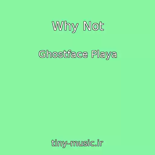 کاور آهنگ Why Not از Ghostface Playa