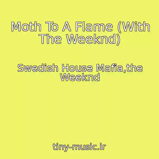 کاور آهنگ Moth To A Flame (With The Weeknd) از Swedish House Mafia,the Weeknd