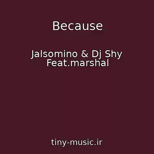 کاور آهنگ Because از Jalsomino & Dj Shy Feat.marshal