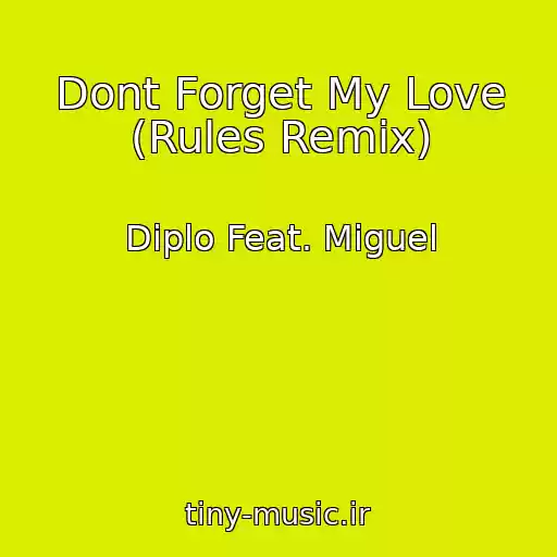 کاور آهنگ Dont Forget My Love (Rules Remix) از Diplo Feat. Miguel