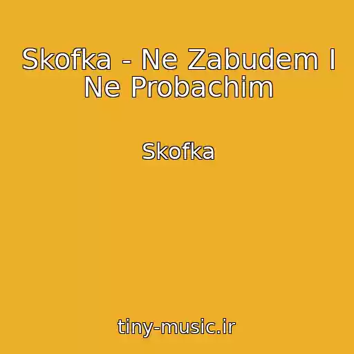 کاور آهنگ Skofka - Ne Zabudem І Ne Probachim از Skofka