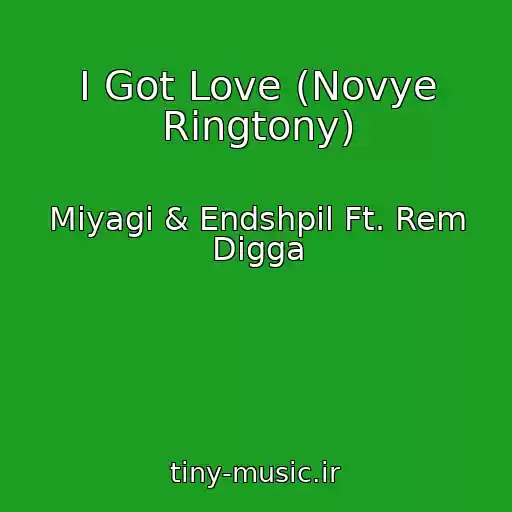 کاور آهنگ I Got Love (Novye Ringtony) از Miyagi & Endshpil Ft. Rem Digga