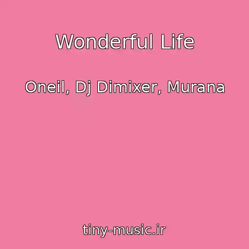 کاور آهنگ Wonderful Life از Oneil, Dj Dimixer, Murana