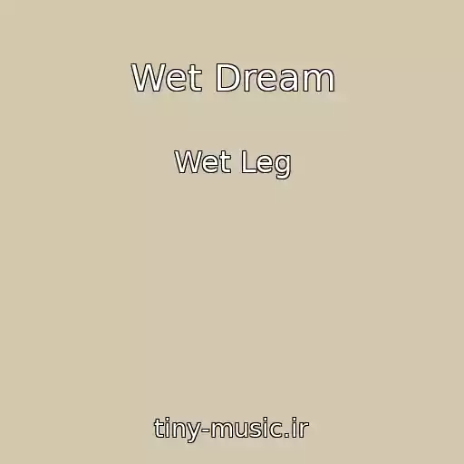 کاور آهنگ Wet Dream از Wet Leg