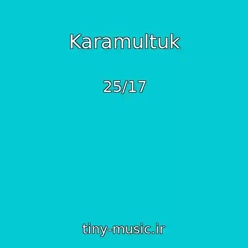 کاور آهنگ Karamultuk از 25/17