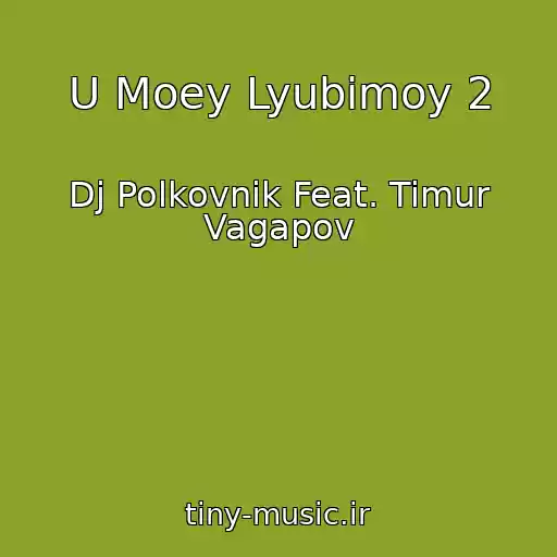 کاور آهنگ U Moey Lyubimoy 2 از Dj Polkovnik Feat. Timur Vagapov