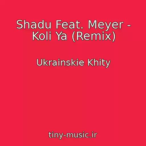 کاور آهنگ Shadu Feat. Meyer - Koli Ya (Remix) از Ukrainskie Khity
