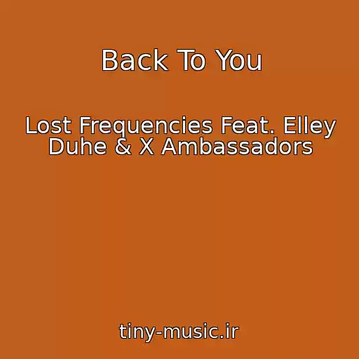 کاور آهنگ Back To You از Lost Frequencies Feat. Elley Duhe & X Ambassadors