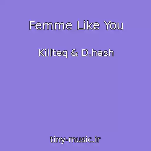 کاور آهنگ Femme Like You از Killteq & D.hash