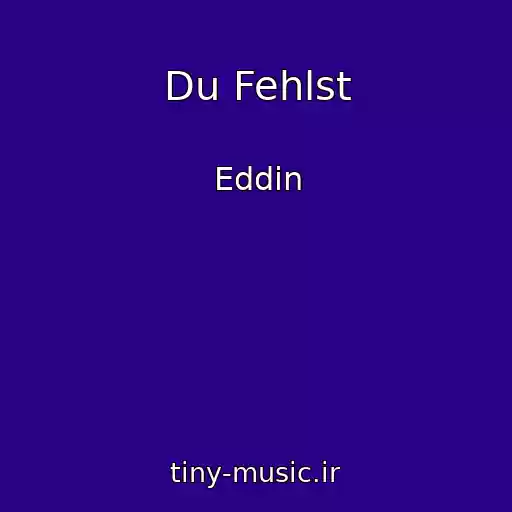 کاور آهنگ Du Fehlst از Eddin