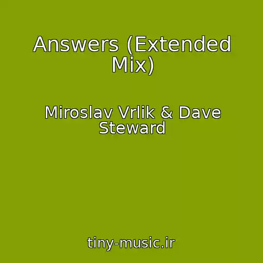کاور آهنگ Answers (Extended Mix) از Miroslav Vrlik & Dave Steward
