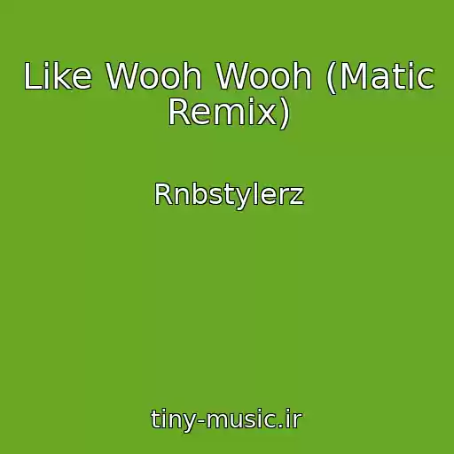 کاور آهنگ Like Wooh Wooh (Matic Remix) از Rnbstylerz