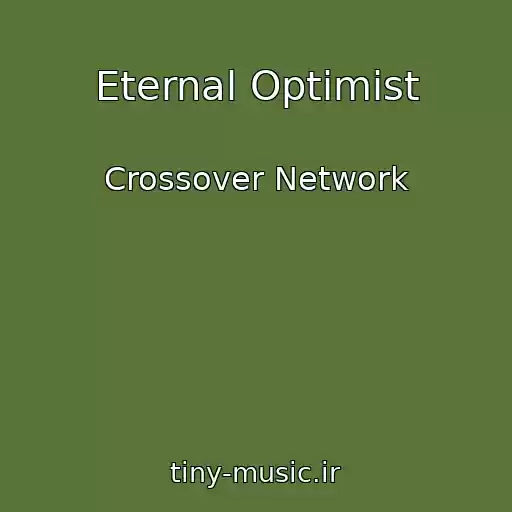 کاور آهنگ Eternal Optimist از Crossover Network