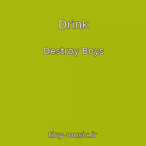 کاور آهنگ Drink از Destroy Boys