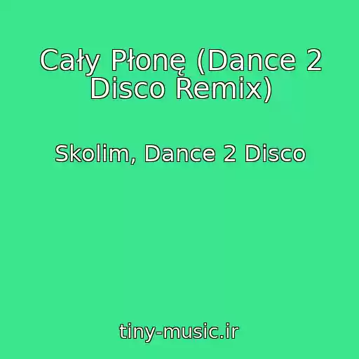 کاور آهنگ Cały Płonę (Dance 2 Disco Remix) از Skolim, Dance 2 Disco
