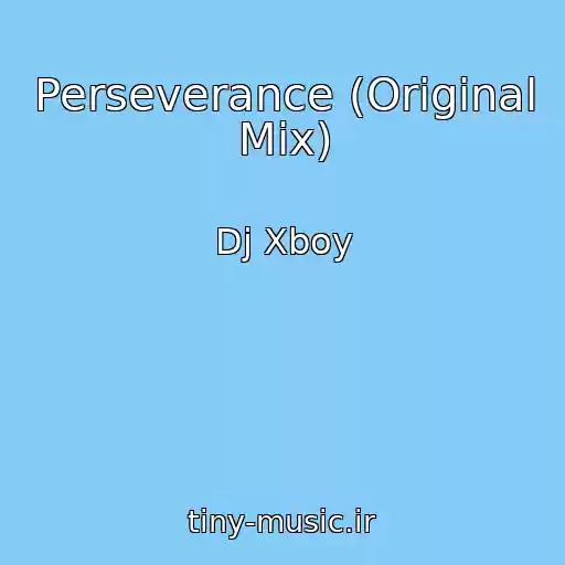 کاور آهنگ Perseverance (Original Mix) از Dj Xboy