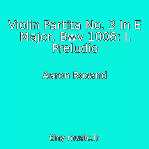 کاور آهنگ Violin Partita No. 3 In E Major, Bwv 1006: I. Preludio از Aaron Rosand