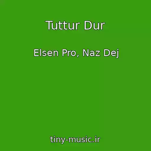 کاور آهنگ Tuttur Dur از Elsen Pro, Naz Dej