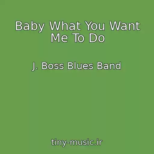 کاور آهنگ Baby What You Want Me To Do از J. Boss Blues Band