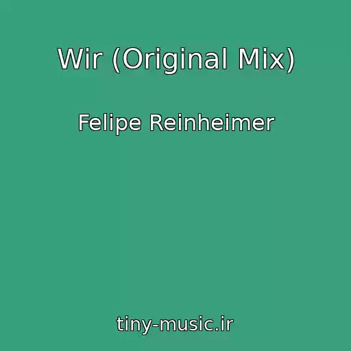 کاور آهنگ Wir (Original Mix) از Felipe Reinheimer