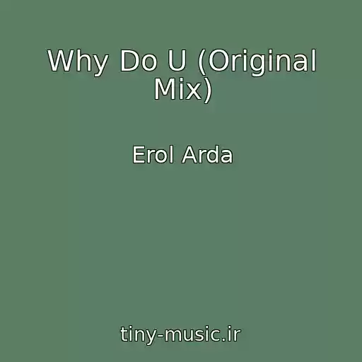 کاور آهنگ Why Do U (Original Mix) از Erol Arda