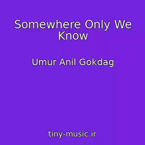 کاور آهنگ Somewhere Only We Know از Umur Anil Gokdag