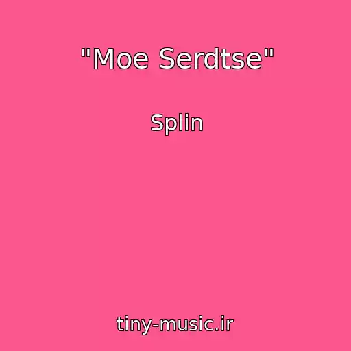 کاور آهنگ "Moe Serdtse" از Splin
