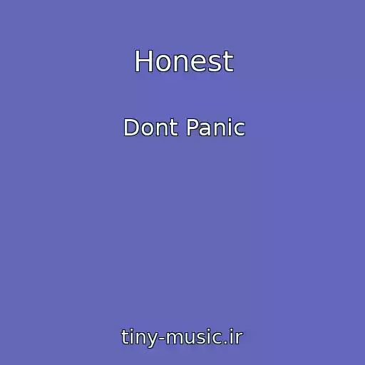 کاور آهنگ Honest از Dont Panic