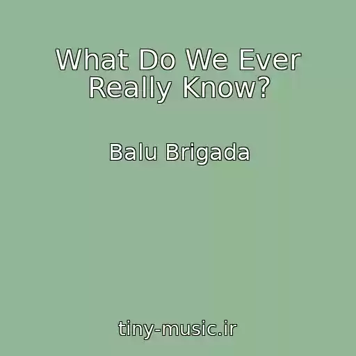کاور آهنگ What Do We Ever Really Know? از Balu Brigada