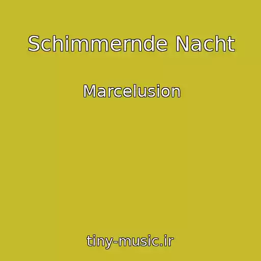 کاور آهنگ Schimmernde Nacht از Marcelusion