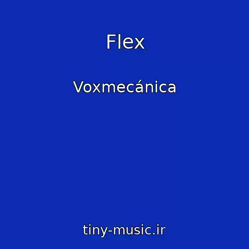 کاور آهنگ Flex از Voxmecánica