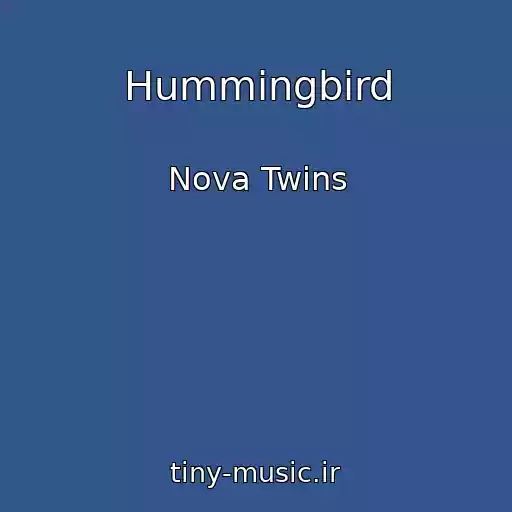 کاور آهنگ Hummingbird از Nova Twins
