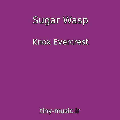 کاور آهنگ Sugar Wasp از Knox Evercrest